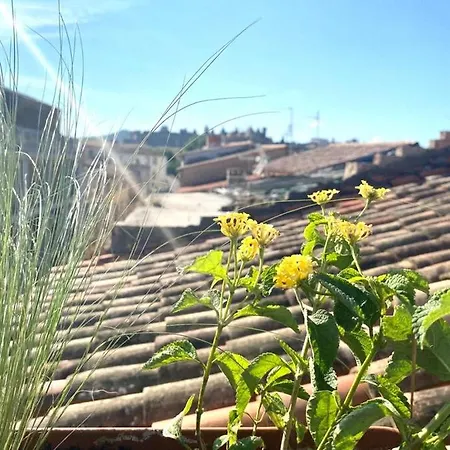 Rooftop Face A La Cite 'rfc' ベッド・アンド・ブレックファスト カルカソンヌ