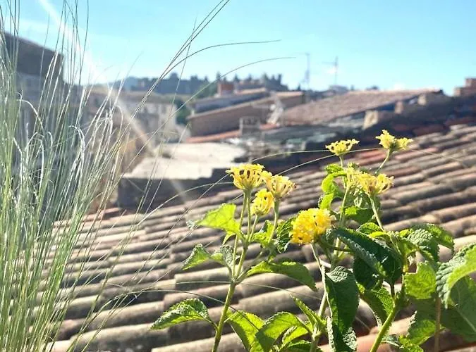 Rooftop Face à La Cité 'rfc' Alojamento de Acomodação e Pequeno-almoço Carcassonne